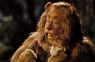 Lion from Wizard of Oz